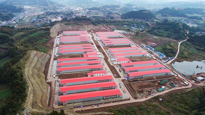 b78fdae4020864521a06ce90d35c72b b78fdae4020864521a06ce90d35c72b